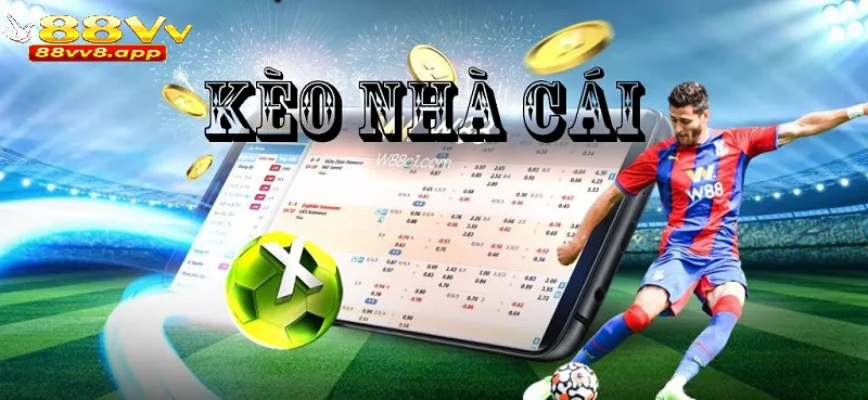 Cá cược bóng đá online hiện đang trở thành sự lựa chọn phổ biến của nhiều người