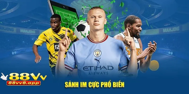 Sảnh IM cực phổ biến